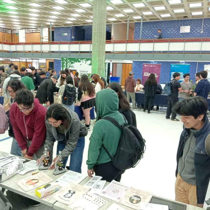 𝐃í𝐚 𝐍𝐚𝐜𝐢𝐨𝐧𝐚𝐥 𝐝𝐞𝐥 𝐌𝐞𝐝𝐢𝐨 𝐀𝐦𝐛𝐢𝐞𝐧𝐭𝐞 𝐞𝐧 𝐥𝐚&nbsp;𝐔𝐝𝐞𝐂